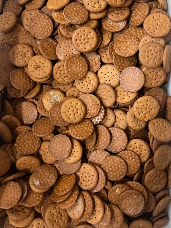 conjunto de bolachas de Gengibre em contexto de fábrica, numa caixa a arrefecer